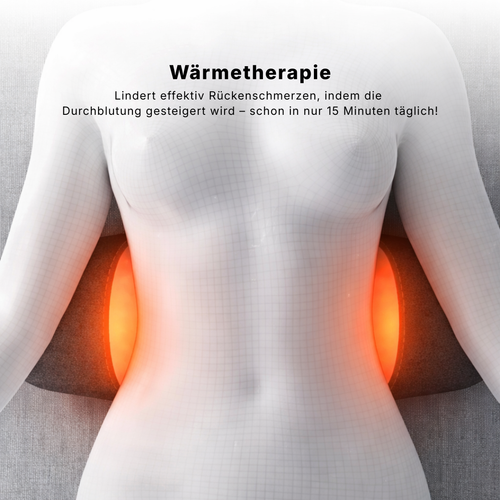 Schneeberger BackRelease